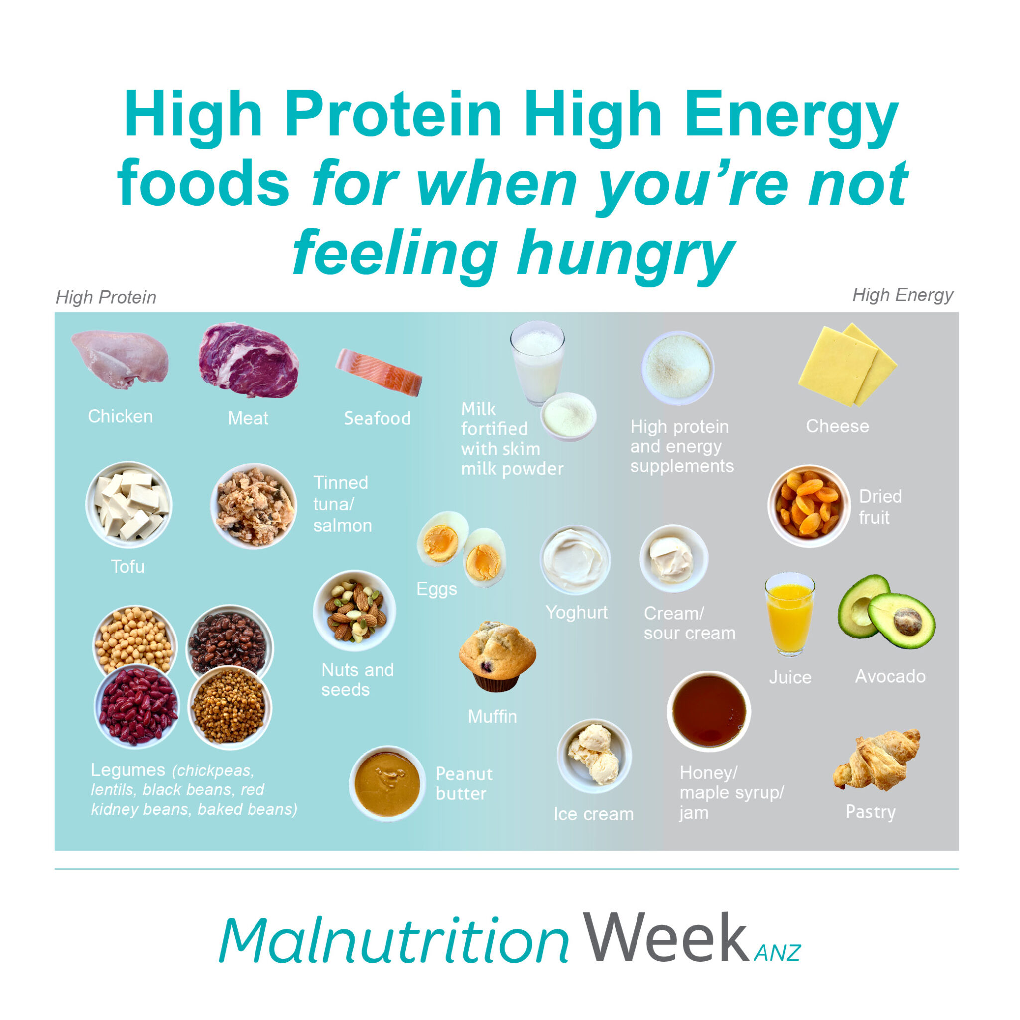 High protein high energy foods